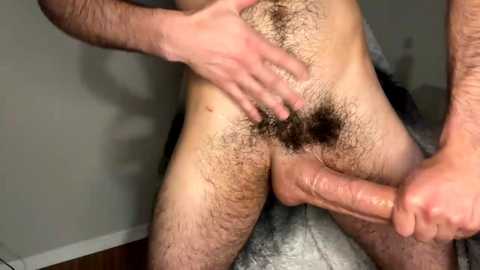 zayn_hawk @ chaturbate on 20230905