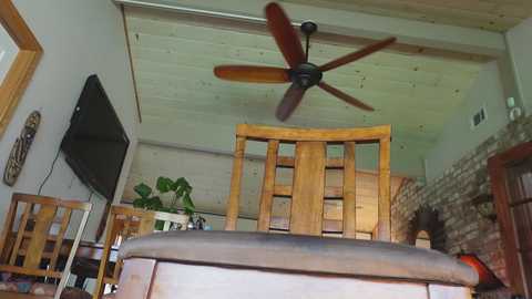 lushiana_123 @ chaturbate on 20230906