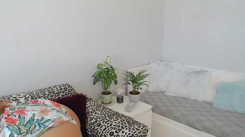 Media: emerald_kittycat Chaturbate 2023-09-07 09:37:00