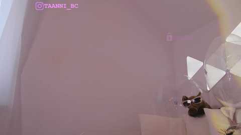 Media: taanni_bc Chaturbate 2023-09-07 06:56:00