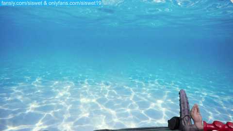 Media: siswet19 Chaturbate 2023-09-08 13:13:00
