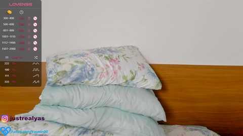 Media: lady_yas Chaturbate 2023-09-09 16:28:00