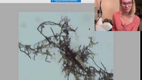Media: kaileeshy Chaturbate 2023-09-10 07:18:00