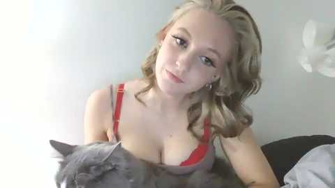 alicewanderlustt @ chaturbate on 20230912