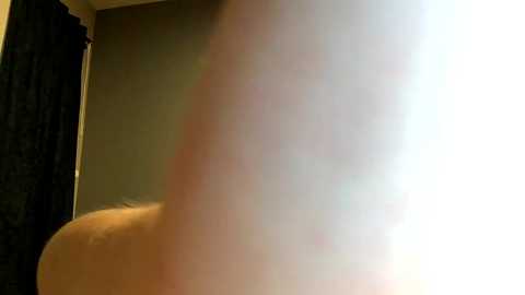 bri_bearr @ chaturbate on 20230913