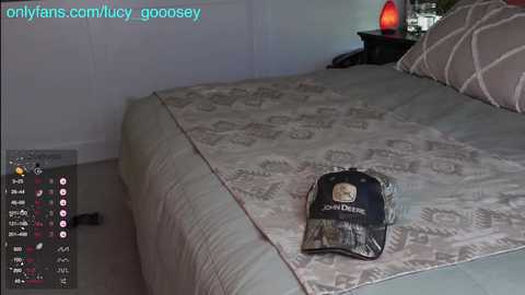 Media: lucy_gooosey Chaturbate 2023-09-13 18:28:00