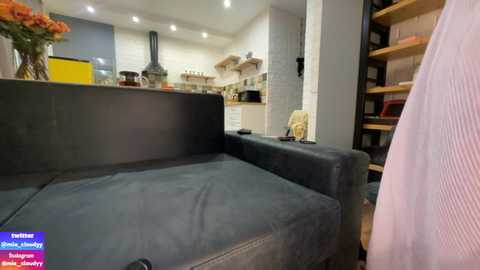 Media: mia_cloudy Chaturbate 2023-09-13 19:31:00