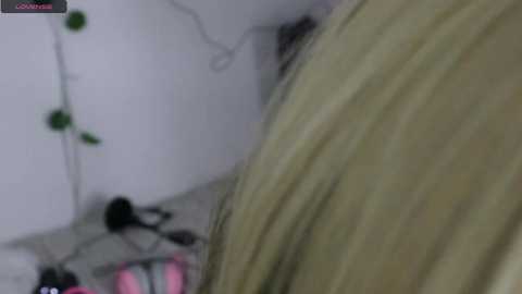 Media: wendy_daniela Chaturbate 2023-09-17 19:53:00