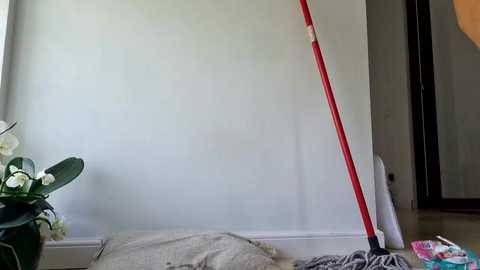 Media: 2whitediamonds Chaturbate 2023-09-18 08:34:00