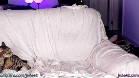 Media: jade49 Chaturbate 2023-09-18 05:19:00