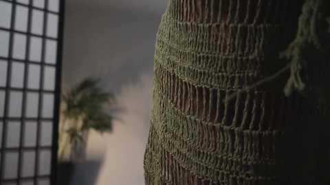 Media: jadeperez_ Chaturbate 2023-09-18 00:46:00