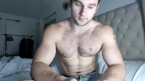 Media: alphazack14 Chaturbate 2023-09-19 03:12:00