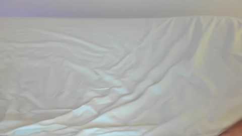 Media: zaylanez Chaturbate 2023-09-19 04:47:00