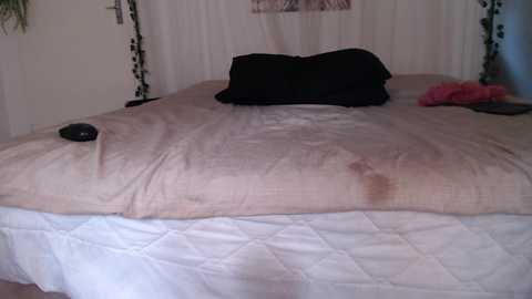 Media: curryandrice420 Chaturbate 2023-09-23 13:02:00
