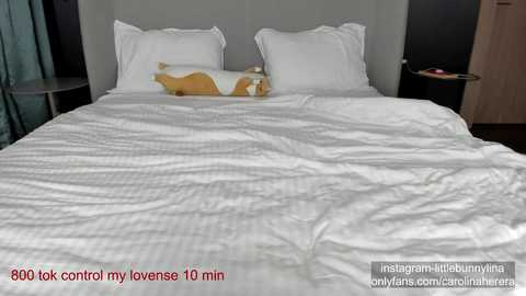 Media: carolinaherera Chaturbate 2023-09-29 19:10:00