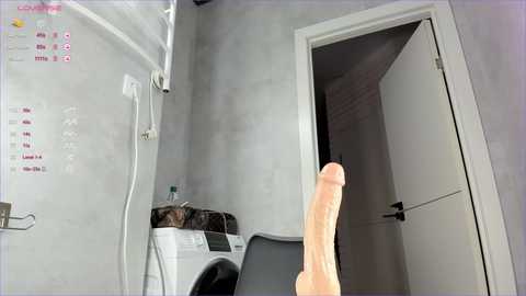 Media: sweetfox_365 Chaturbate 2023-09-29 06:58:00