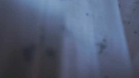 Media: bibi_it_is Chaturbate 2023-09-30 09:37:00