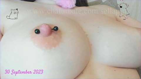 Media: sellapink Chaturbate 2023-09-30 13:06:00
