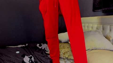 aristarkh_ @ chaturbate on 20231004