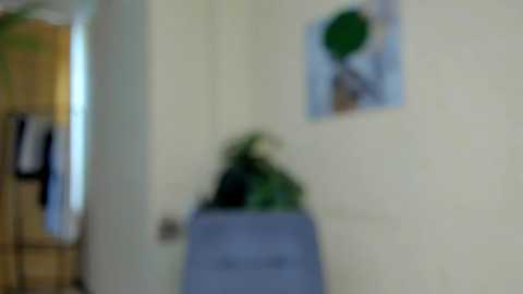 Media: felissiany Chaturbate 2023-10-04 06:11:00