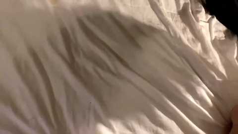 mike_n_miaa @ chaturbate on 20231004