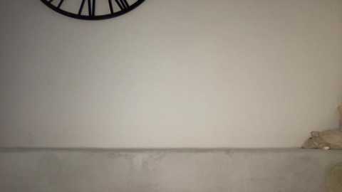 Media: angel_from_sky Chaturbate 2023-10-05 09:30:00