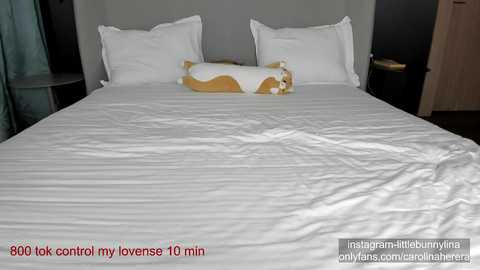 Media: carolinaherera Chaturbate 2023-10-07 15:57:00