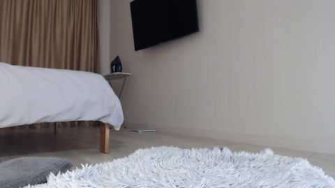 Media: meryfoxxx Chaturbate 2023-10-08 17:26:00