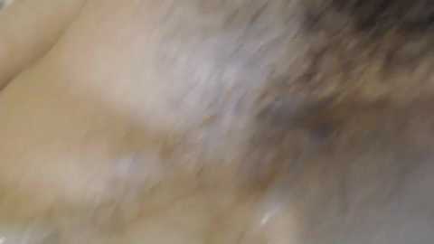michmark23 @ chaturbate on 20231008