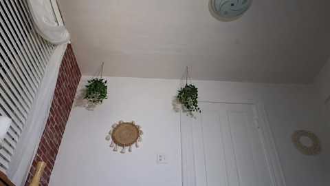 Media: littlegreekflower Chaturbate 2023-10-09 01:21:00
