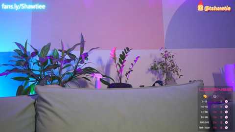 Media: _taylor_swift Chaturbate 2023-10-10 07:14:00