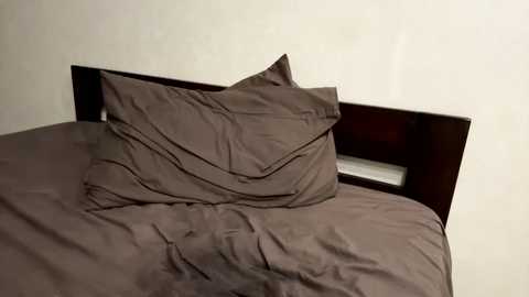Media: kiwigray Chaturbate 2023-10-10 20:49:00