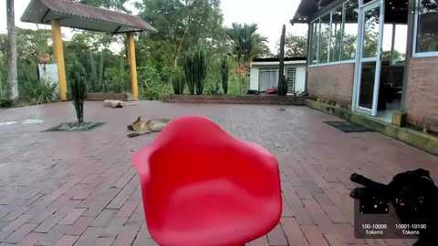 Media: ohanna_ Chaturbate 2023-10-10 22:20:00