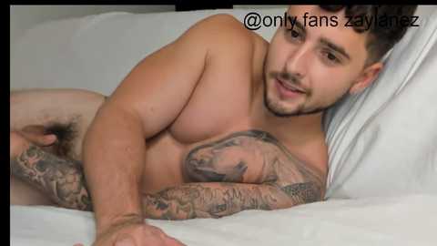 Media: zaylanez Chaturbate 2023-10-11 05:21:00