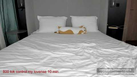 Media: carolinaherera Chaturbate 2023-10-13 19:25:00