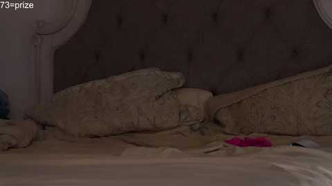 Media: x_dreamgirl_x Chaturbate 2023-10-13 05:14:00