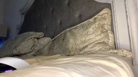 Media: x_dreamgirl_x Chaturbate 2023-10-13 06:53:00