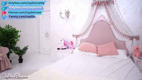 Media: caylin Chaturbate 2023-10-14 18:59:00
