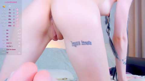 Media: shycinderella Chaturbate 2023-10-15 05:52:00