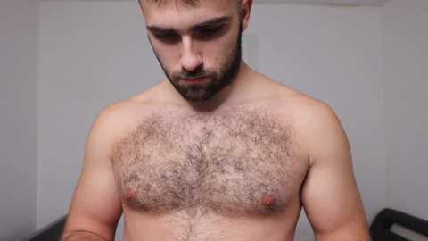 thony_grey @ chaturbate on 20231015