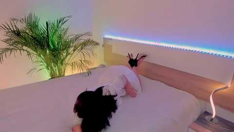 Media: butterflyblue_dream Chaturbate 2023-10-17 15:03:00