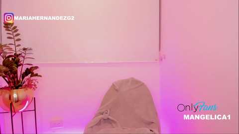 Media: cute_molly18 Chaturbate 2023-10-18 05:44:00