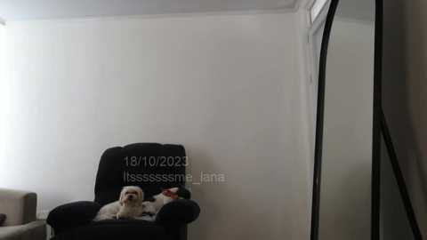 Media: itsssssssme_lana Chaturbate 2023-10-18 18:11:00