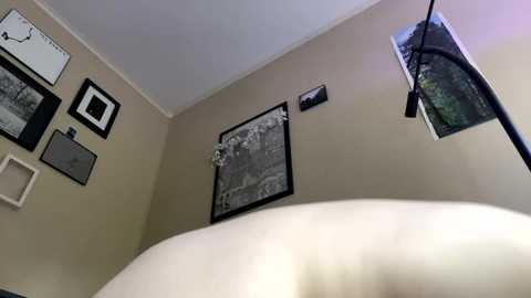 Media: clover_tully Chaturbate 2023-10-19 15:12:00