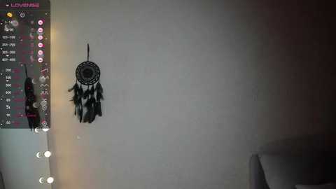 Media: euphoria_life Chaturbate 2023-10-20 00:08:00
