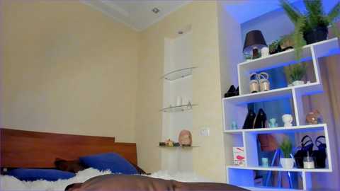 Media: felissiany Chaturbate 2023-10-20 12:28:00