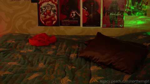 Media: _northern_girl_ Chaturbate 2023-10-21 14:32:00