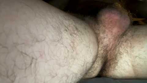 jwstanz @ chaturbate on 20231021