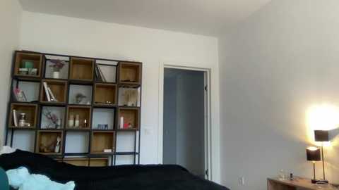 Media: wonderland_stia Chaturbate 2023-10-21 11:58:00
