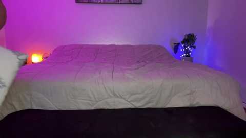 Media: wildcouple_6960 Chaturbate 2023-10-22 04:50:00